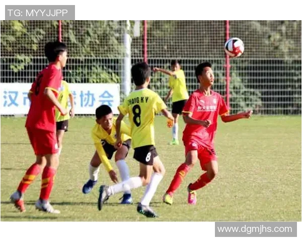 中国足球教练的现状与未来发展探讨及其对球队成绩的影响分析