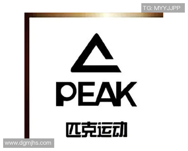 探索体育用品服装品牌图案的设计理念与市场趋势分析